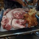 보물촌 꺼먹돼지 이미지