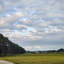 여주-1052 이미지