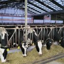 녹색한우농장 | [MZ축산학교] 물만 제대로 관리해도 출하일 20~40일 당겨지는 이유