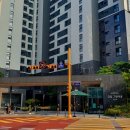 금광초등학교 정문 이미지