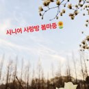 시니어 사랑방 봄마중🌻 이미지
