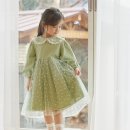플로샤
