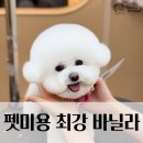 영산로 284 이미지