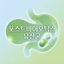 포스트바이오틱스 뜻 유산균 효능 다른 유산균과 차이점