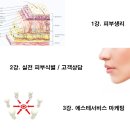 디지털카메라 활용법(실전응용과정) | 대구피부미용학원 스킨하트 - 스킨케어 심화과정