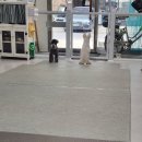 안나 펫 살롱 이미지