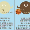 더스카이점핑다이어트