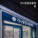가나종합동물병원 | 목동동물병원 가나종합동물병원 반려동물 행복의 시작