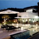 타피올라 이미지