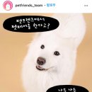펫프렌즈 이미지