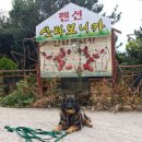 잉카펜션