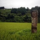 보성오씨 대문중재실 | [스크랩] 근대사를 스쳐 지나간 우리네 마을의 이야기 ... 강