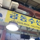 동부회수산시장 | [목포] 목포동부시장횟집: 금동수산 내돈내산 솔직후기 (가격, 주차)