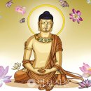 보리수하 이미지