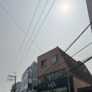 Minev(미네브)