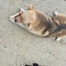 강태공민박 이미지