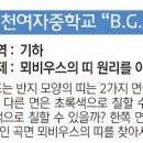 북인천여중B 이미지