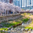 성내4교 아래 이미지
