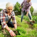 희망영농 이미지