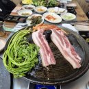 양지-2814 이미지