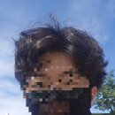 셰르헤어 - 동구 | 셰르헤어
