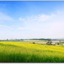 안성농장 이미지