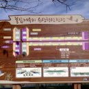 불갑저수지 수변공원 이미지