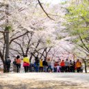(주)강남고속관광 이미지