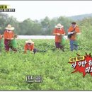 중산농장 이미지