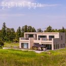 동광카인테리어 | 제주도펜션 플랜트101 풀빌라 국내여행 떠나고 싶을 때 제주가볼만한곳