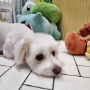 멈무는하루 이미지