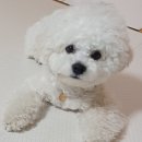 (주)공우기공 브런치