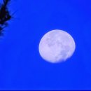 Why worry - Dire Straits 이미지