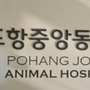 포항중앙동물병원 이미지