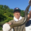 늘푸른낚시 이미지