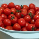 동일청과 | 샐러드용 제이청과 방울토마토 2kg 가성비 구매 후기🍅