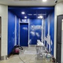 영인동물병원 이미지