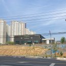 어뮤즈퍼피 이미지