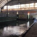 성화어린이집 | 청주 성화동 성화하우스낚시터 평일 낚시 다녀온 후기