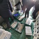주식회사 이음새 농업회사법인 - 사천시 | 주식회사 이음새 농업회사법인