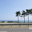 피쉬카페