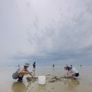 청포대민박 이미지