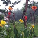 꼼지의 작은세상 이미지