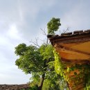 앙성초 영죽분교 이미지