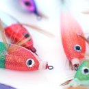 비다쭈꾸미 이미지