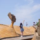 신비공원 | 대만 타이베이 근교 여행 가볼만한곳 예류지질공원 후기 포토존 소개