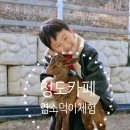 아기염소 이미지