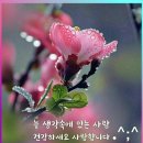 베트남여행ㅡ 다낭♡호이안 3박 5일 여행ㅡ 다낭 재래시장 대성당 ㅡ 응우한선 오행산 산행ㅡ 호이안 고대도시ㅡ 안방 비취 해변ㅡ 이미지