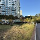 가히애견 | 광교 애견동반 식당 산책 후 방문하기 완벽한 두강곱창