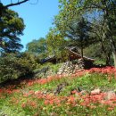 환벽당길 이미지